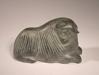 Muskox